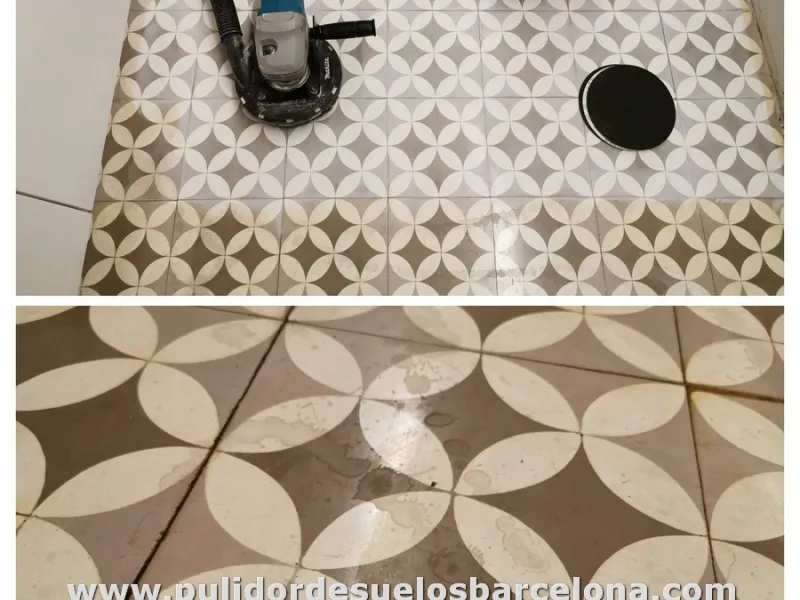 Si los suelos de mosaico hidráulico en su vivienda o local están con manchas y sucios podemos limpiarlos, pulirlos y abrillantarlos para mejorar su aspecto y facilitar su limpieza mantenimiento. Tratamiento de protección anti manchas en baños y cocinas.